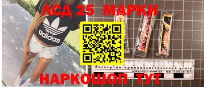 шишки Бийск